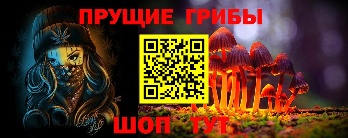 Архангельск  Псилоцибиновые грибы прущие грибы  Вход с VPN 